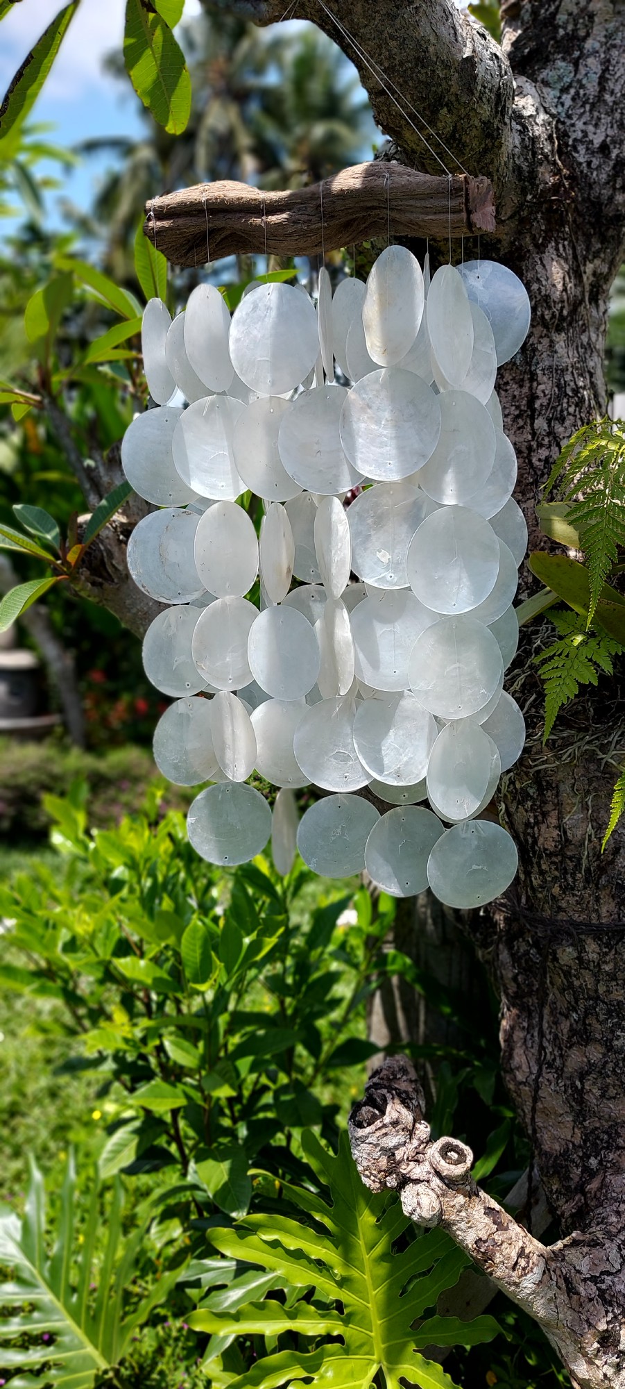 Windspiel 'Perlmuttscheiben', weiß, H 48 cm, B 25 cm günstig bestellen