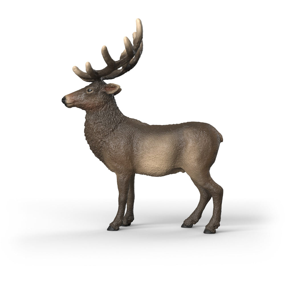 Køb Schleich Elg