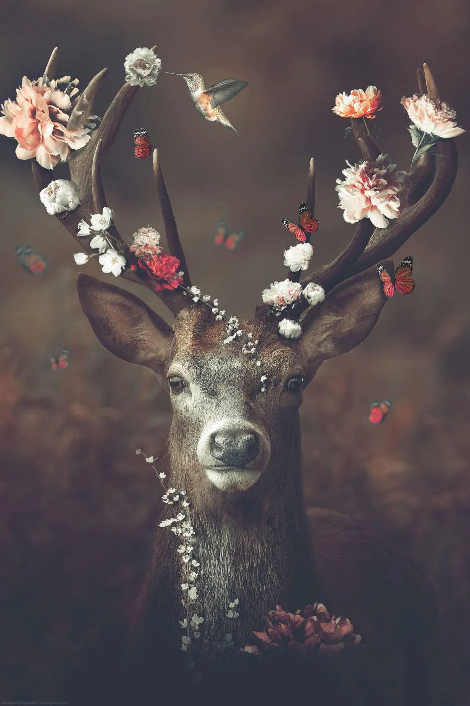 Poster Fauna, Flora, Deer, 61 x 91 cm