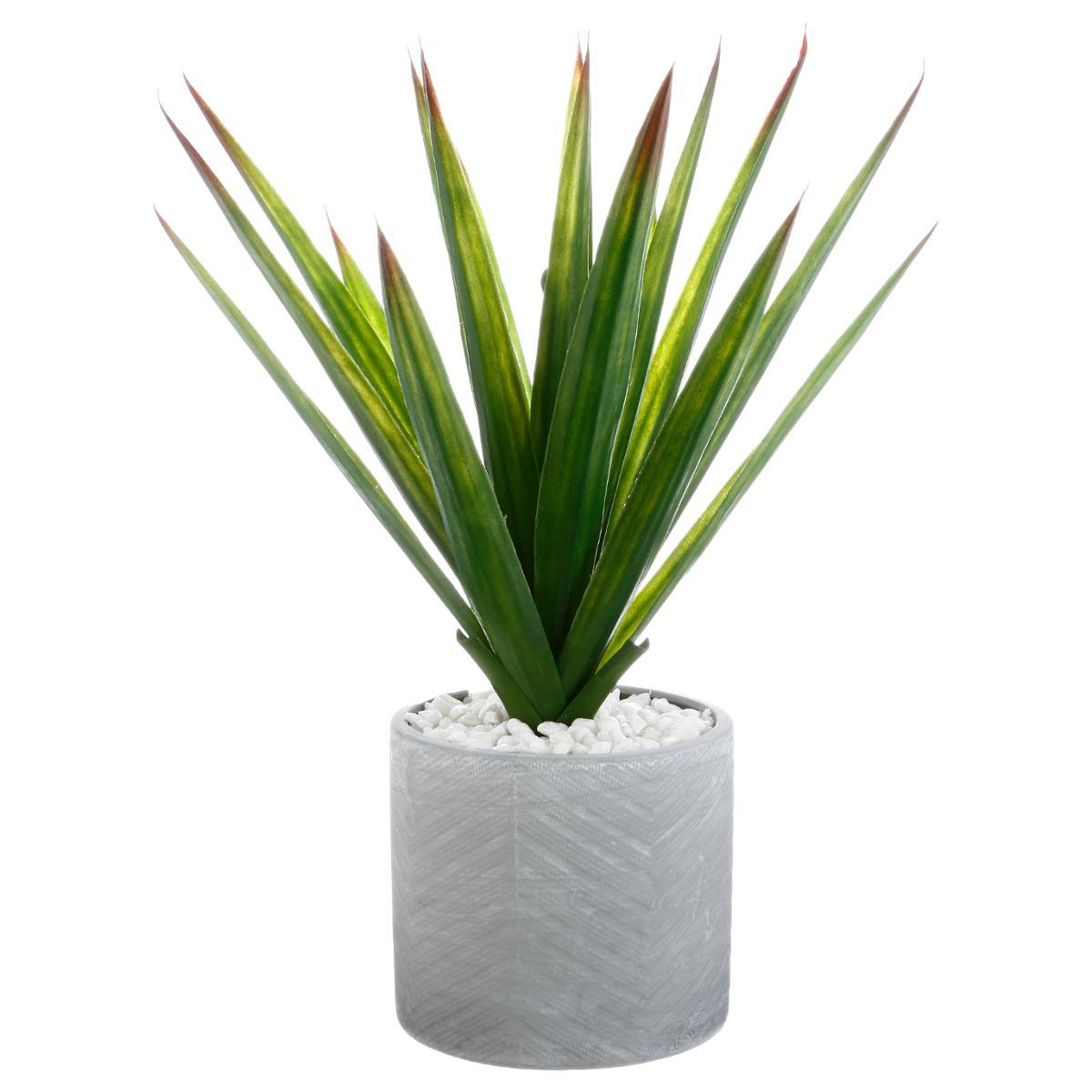 ALOE VERA POT CERAMIQUE H.48CM