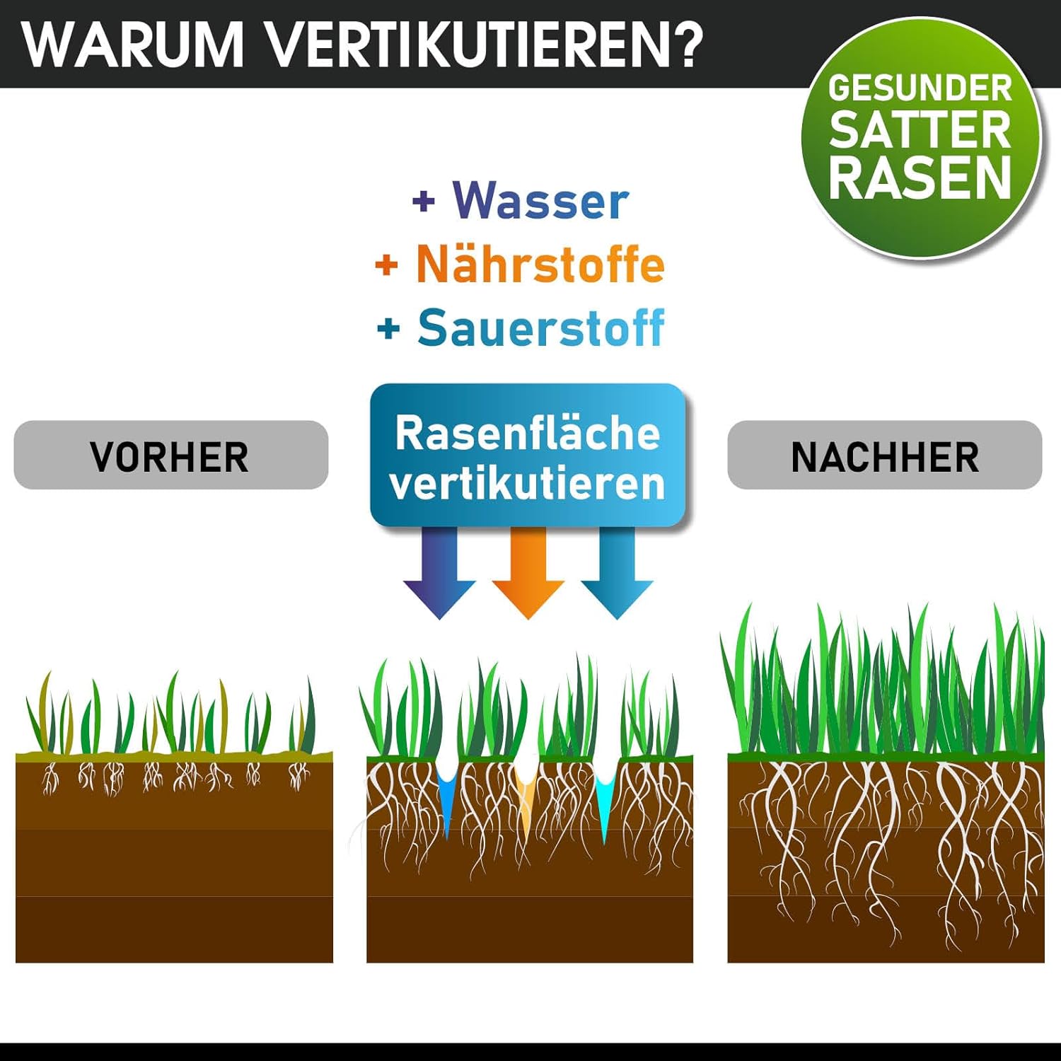 BRAST Benzin Vertikutierer 4,5kW (6,12PS) | 4-Takt Motor 212ccm | 40-45cm Arbeitsbreite | TÜV geprüft | 50L Fangkorb | viele Modelle für kleine bis sehr große Rasenflächen | BRB-RV-45212