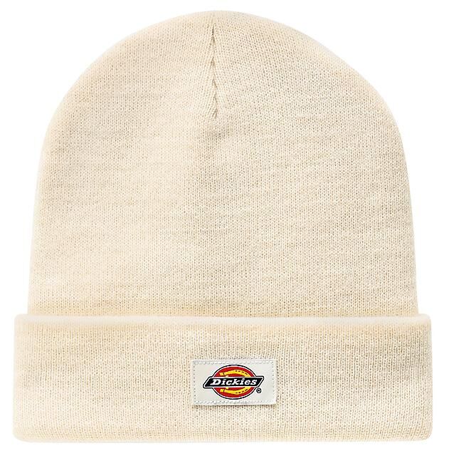 DICKIES - BONNET GIBSLAND
