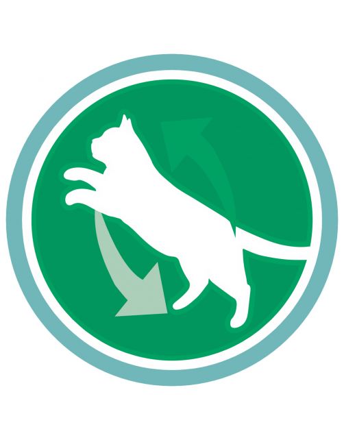 Purina One Indoor Formula Kalkoen - Kattenvoer