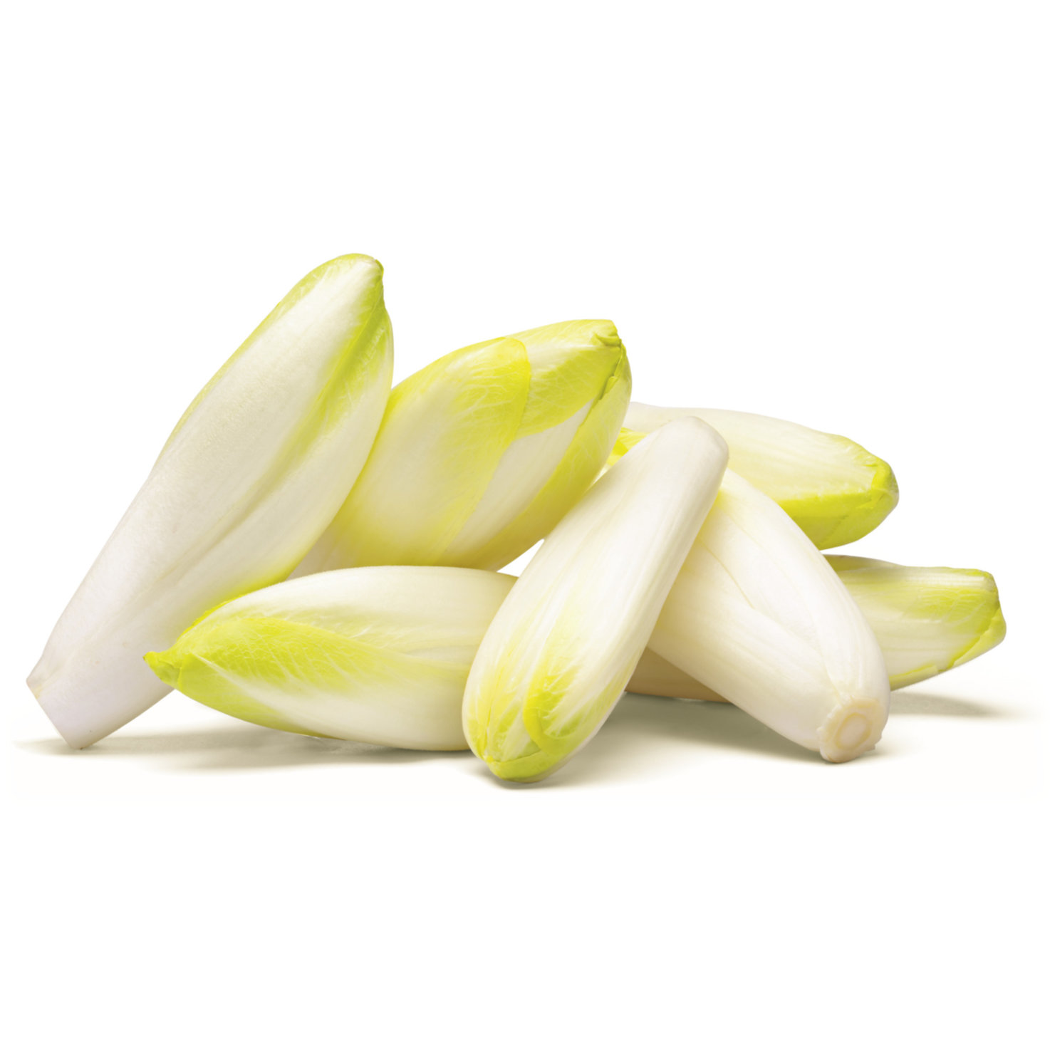 Naturaplan Bio Chicorée -