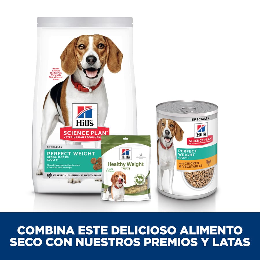 Ração úmida Hill's Adult Perfect Weight com frango e vegetais para cães.