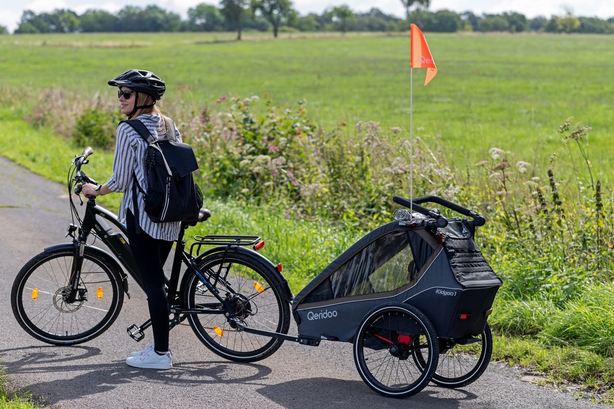Qeridoo Fahrradanhänger Kidgoo 1 Steel Grey