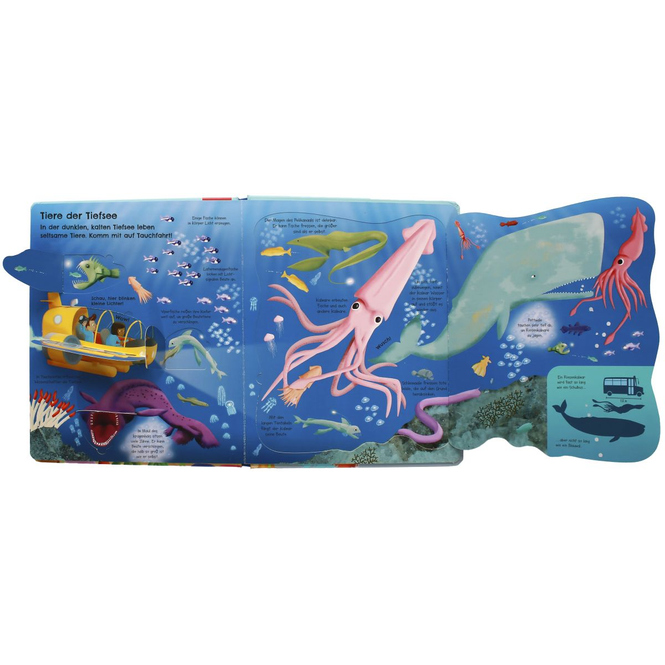 Aufgeklappt und viel entdeckt! - Im Meer - Mit 55 Klappen