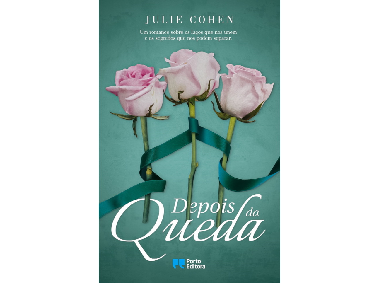 LIVRO DEPOIS DA QUEDA DE JULIE COHEN