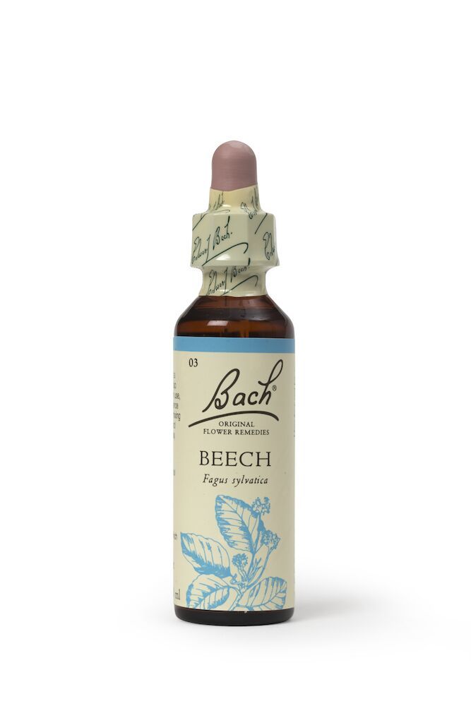 Bach Bøk (Beech)