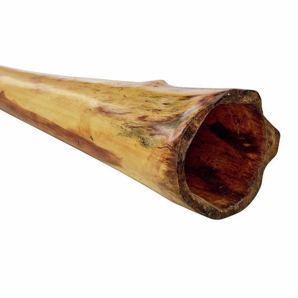 Thomann Didgeridoo Eucalyp. Proline E