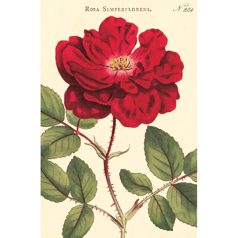 Cavallini Postkartenset