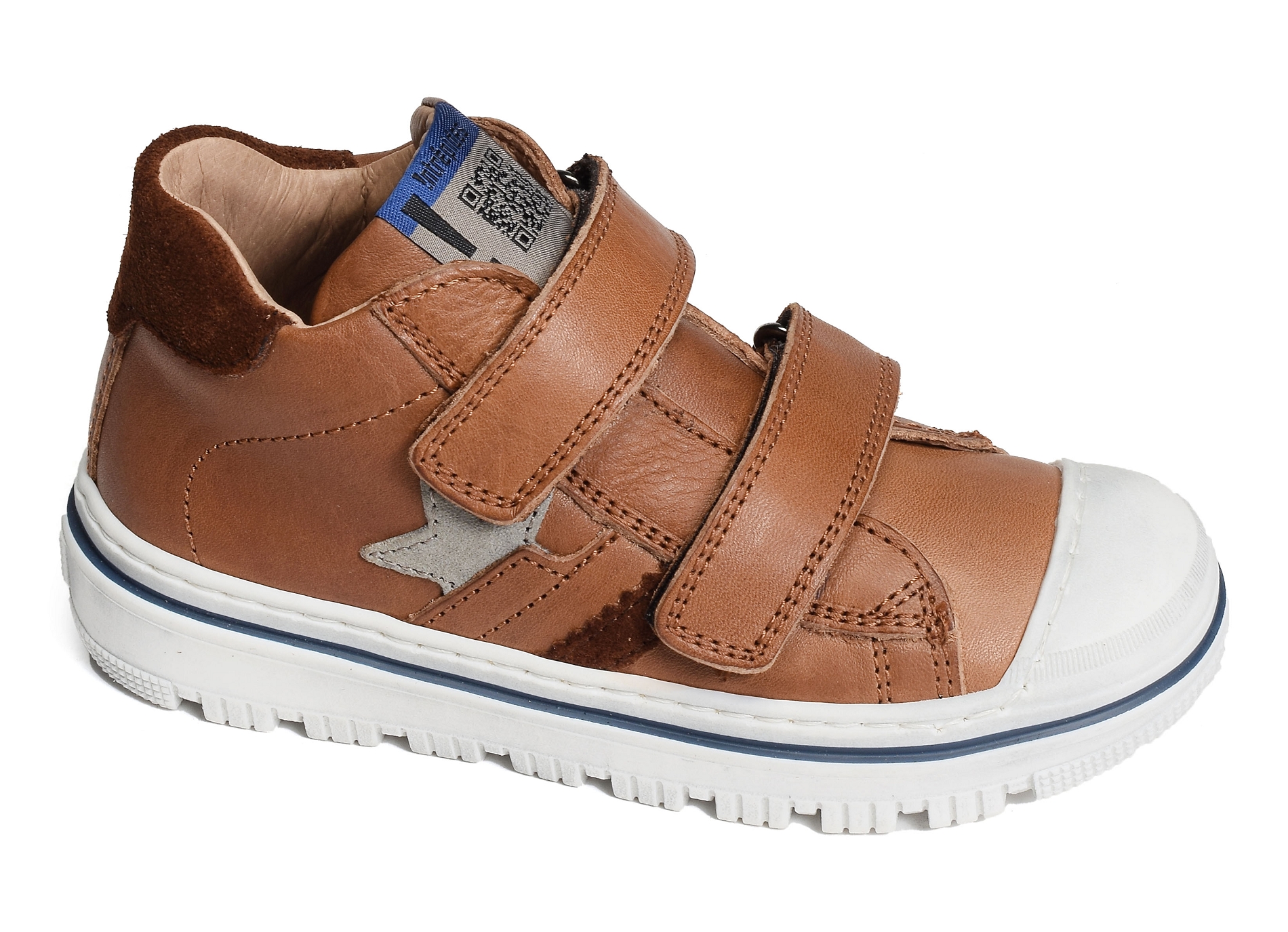 Kasino camel