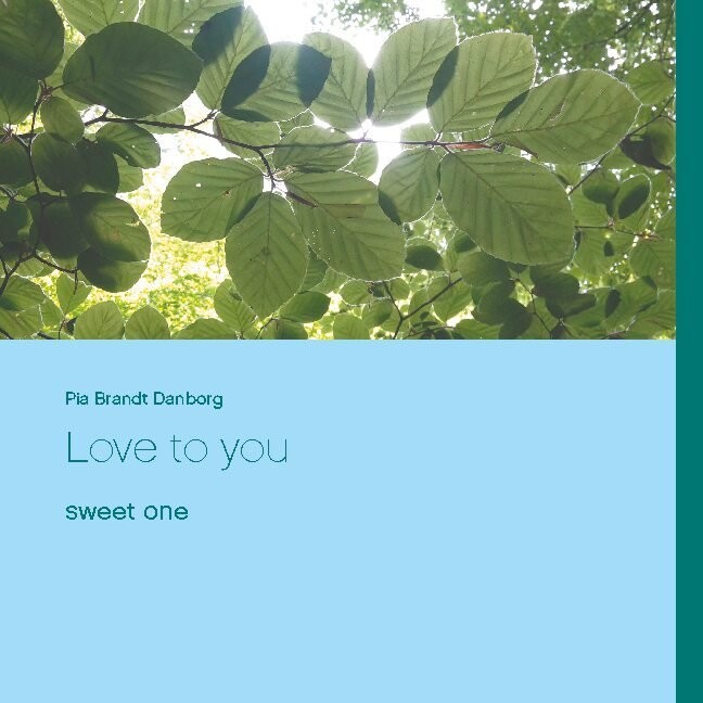 Love To You - Pia Brandt Danborg - English Book