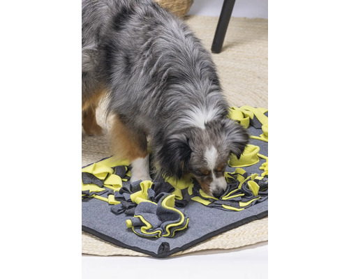 Beeztees Pluche Snuffelmat Flora 70 cm Hondenspeelgoed, Intelligentiespeelgoed, Snoepgoed, Activiteitenspeelgoed, Interactief Speelgoed