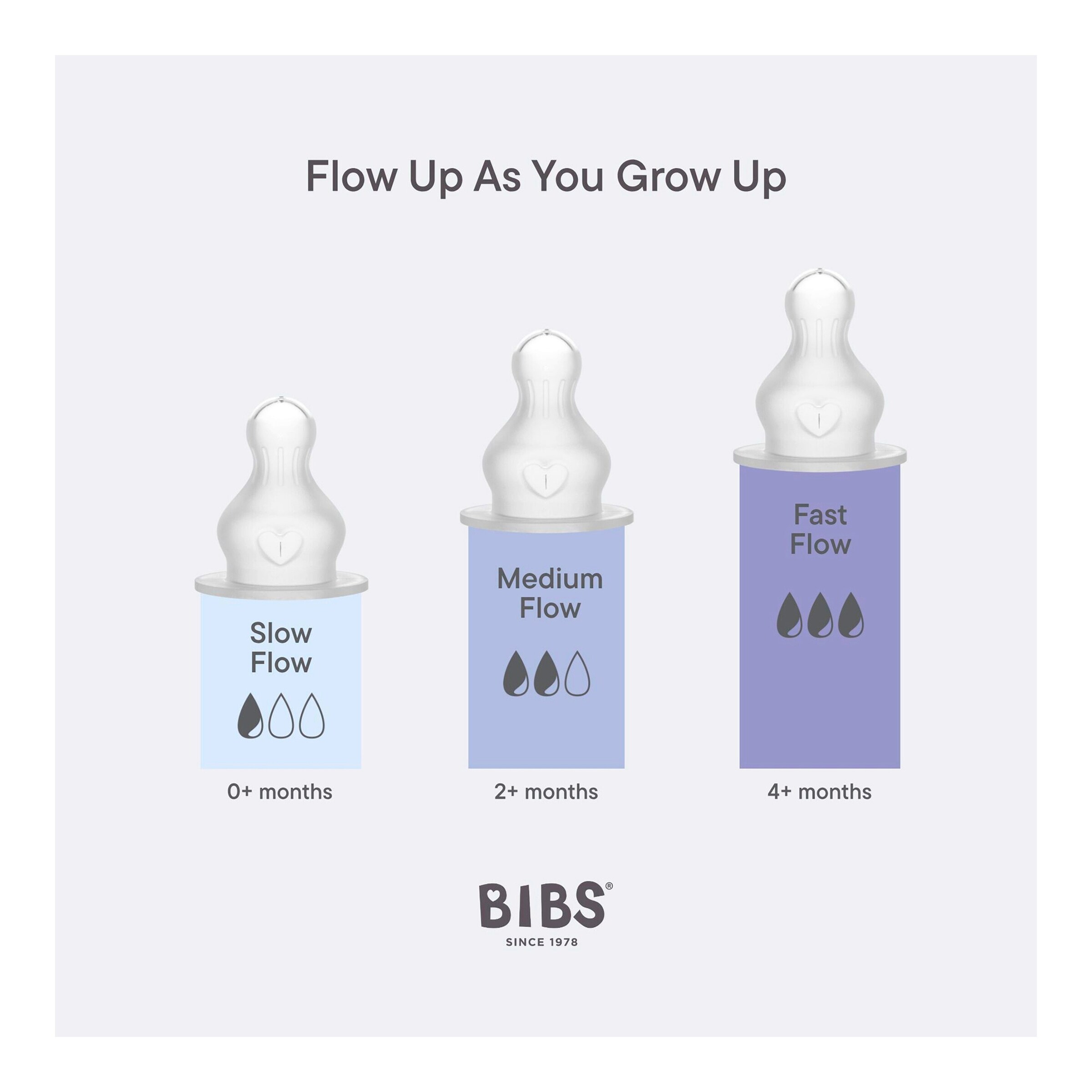 BIBS Babyflasche aus Kunststoff, 270 ml, ab 2M sage