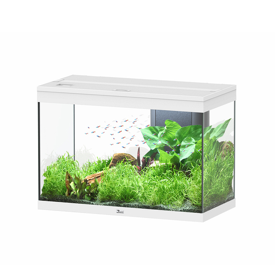 Aquarium équipé Splendid Led 2.0 Blanc L.80xP.40xH.56cm