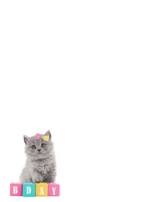 Studio Pets | Verjaardagskaart | Met naam | bestie