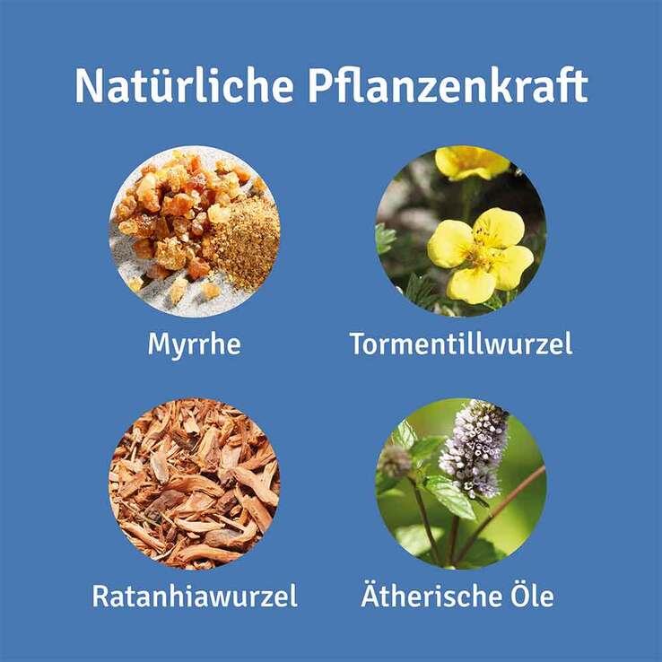 Repha OS Mund- und Rachenspray, 12 ml