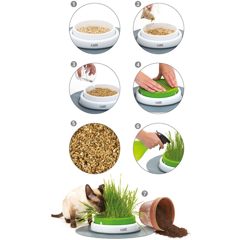 Jardinière d'herbe à chat Catit Senses 2.0