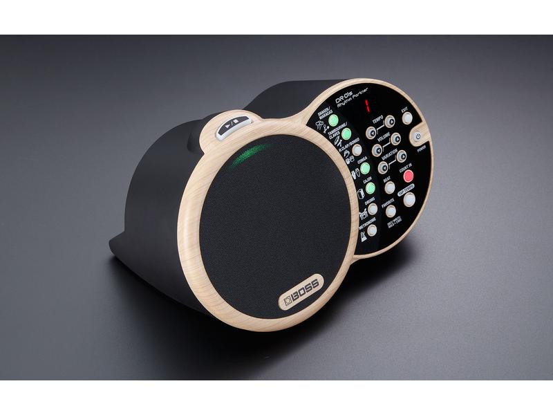 BOSS Sampling Pad DR-01S Organische Rhythmusbegleitung für Unplugged-Musiker