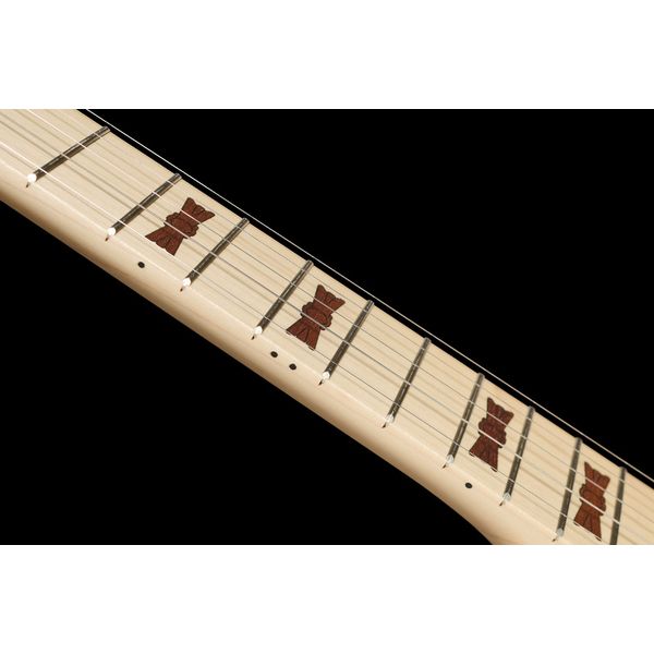 Deering Goodtime Special Banjo