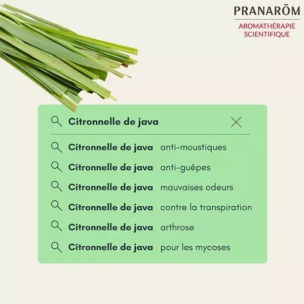 Óleo Essencial de Citronela Java Pranarom 10ml