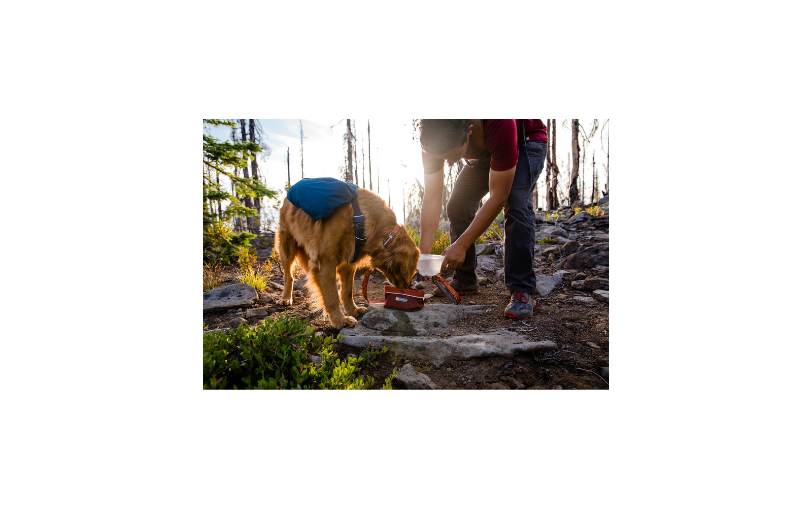 Ruffwear Quencher Hundenapf für unterwegs turnalo teal M
