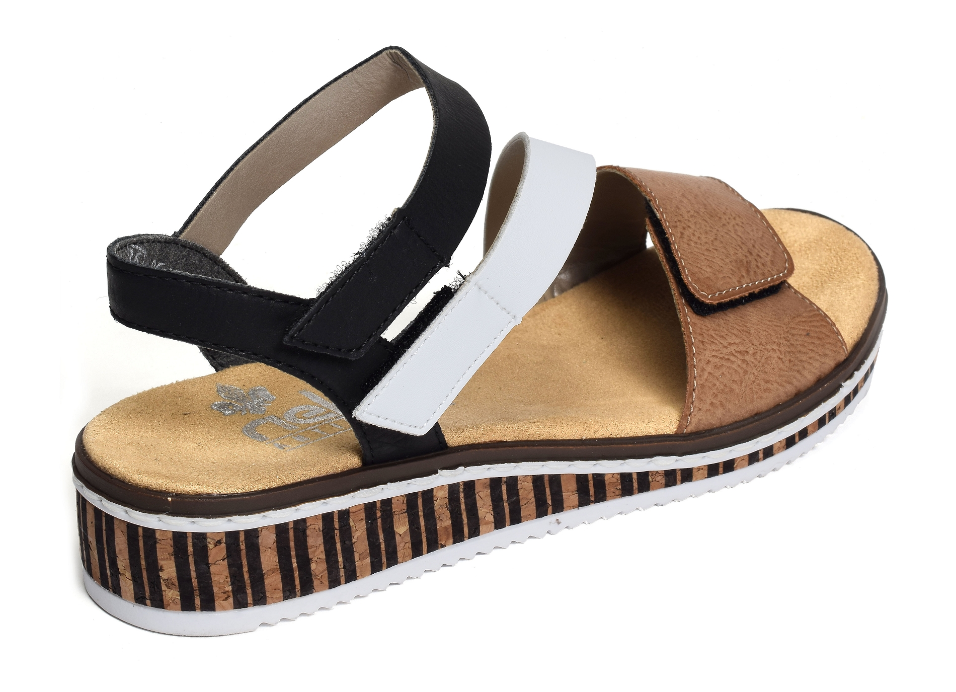 V3670 blanc marron
