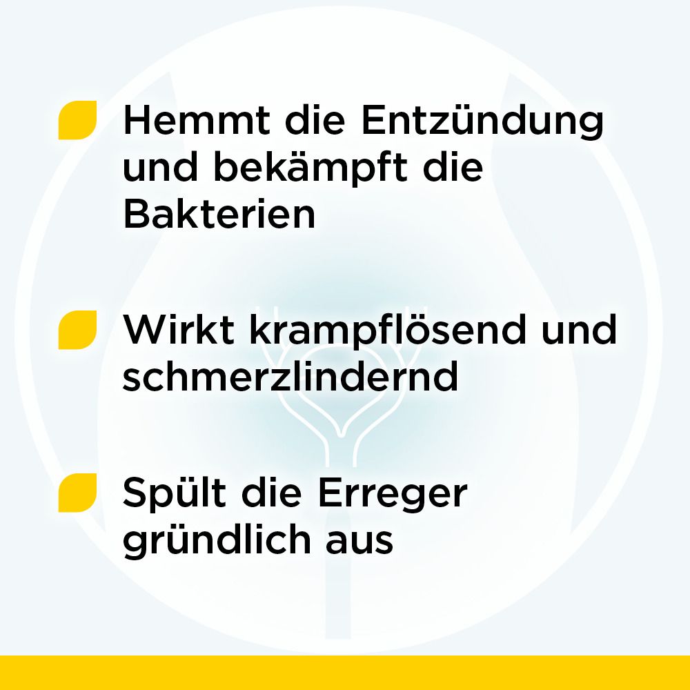 Aqualibra bei wiederkehrenden Blasenentzündungen