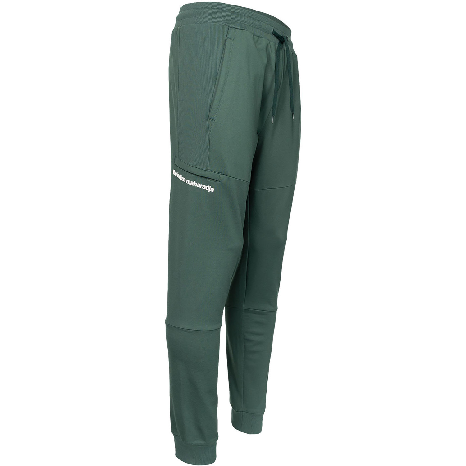 Indian Maharadja Kadiri Pant Jongens