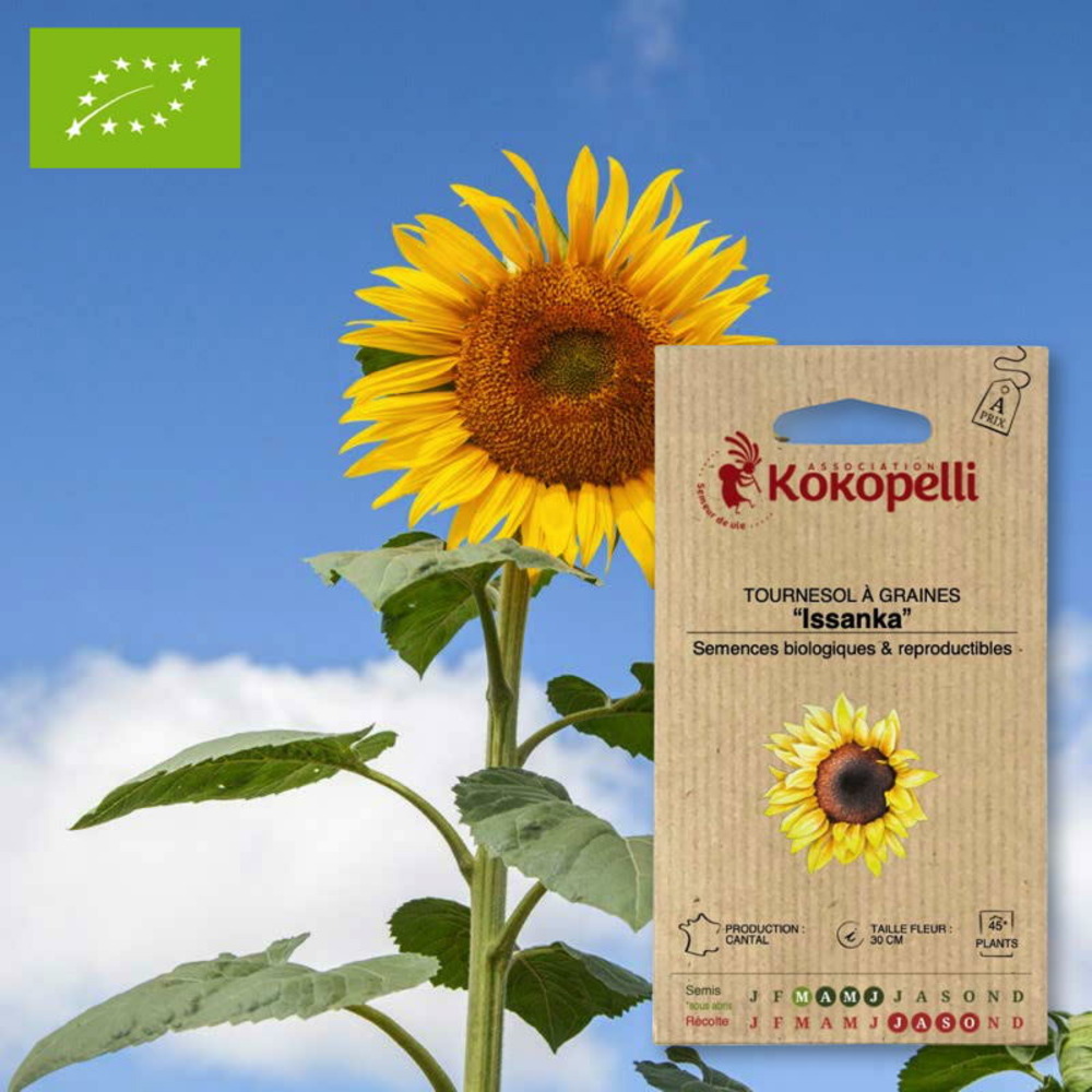 Sachet de graines bio à semertournesol à graines issanka