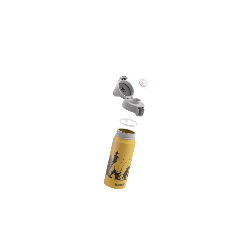 SIGG Trinkflasche Kinder WMB ONE Brave Bear 0.6 L