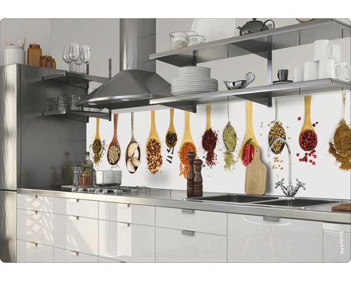 Keukenachterwand mySpotti Splash Oriental Spices 2800 x 600 mm SP-F2-1259