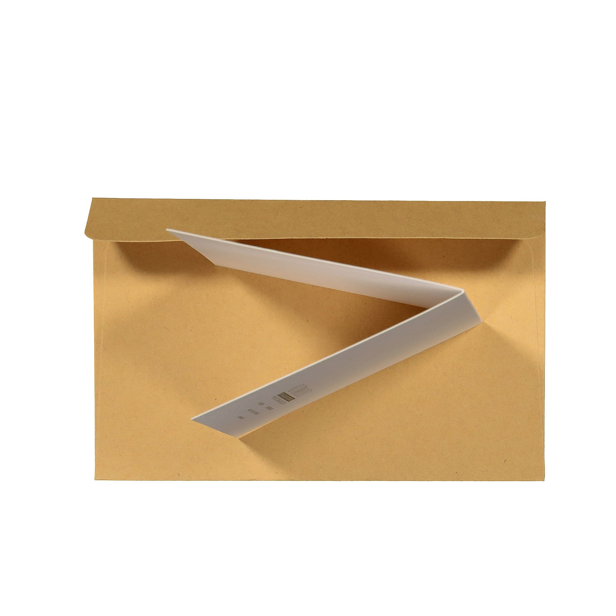 NocturnalPaper<br>