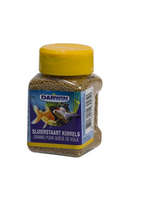 Darwin Sluierstaart Korrels - Vissenvoer