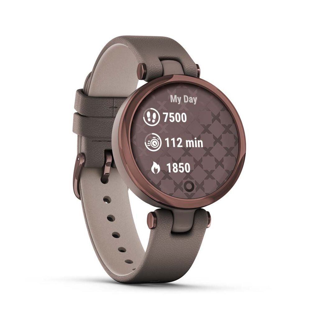 Montre Connectée Garmin Lily