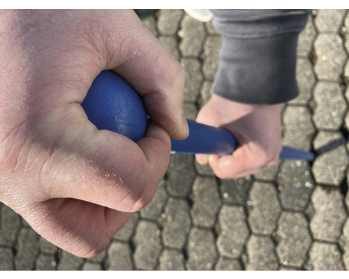 Koevoet voor straatstenen met knop en punt, 1250x30mm, blauw