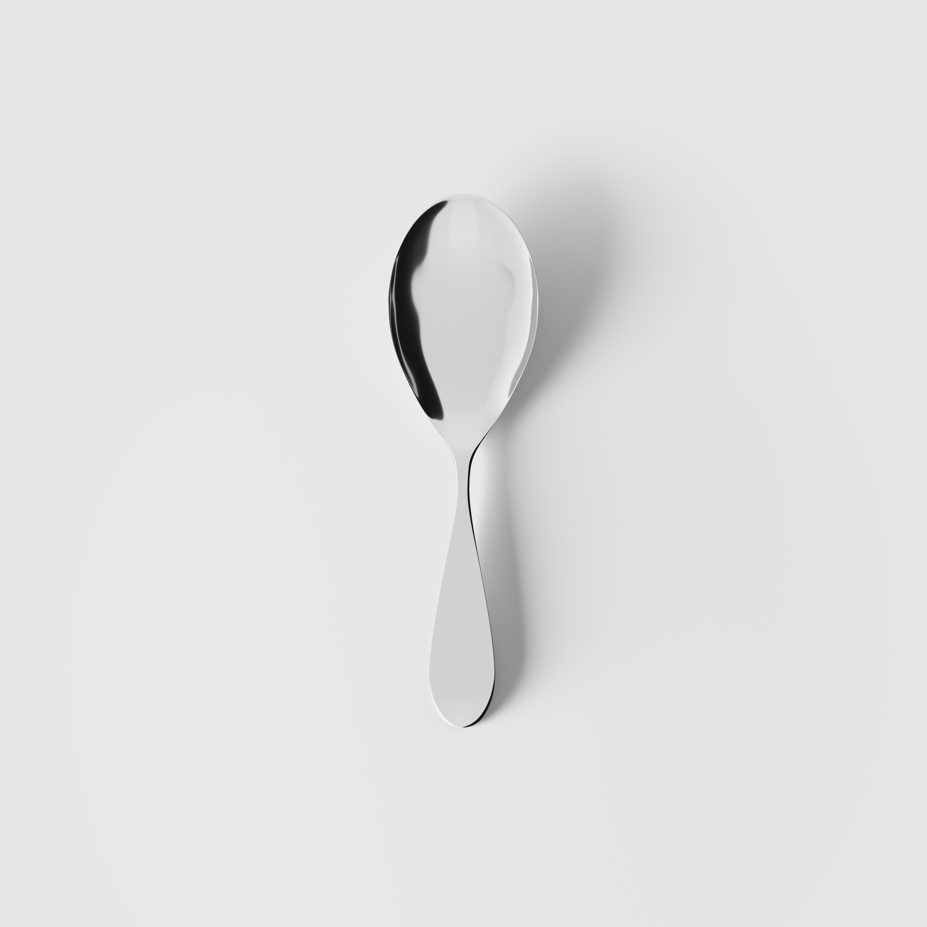 Sereno Rice spoon stainless steel