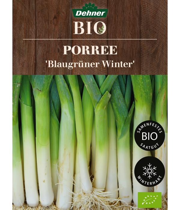 Dehner Bio-Saatgut Porree 'Blaugrüner Winter'