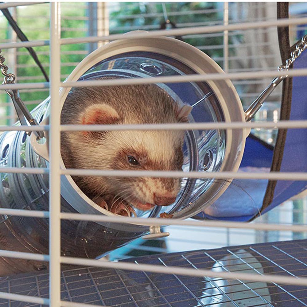 Ferplast cage pour fûrets furet tower, structure verticale sur plusieurs étages, roues et accessoires inclus, métal vernis gris et