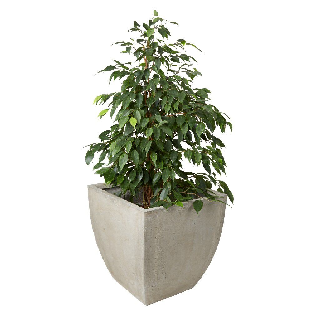 CACHE POT FIBRE ARGILE 38x38cm