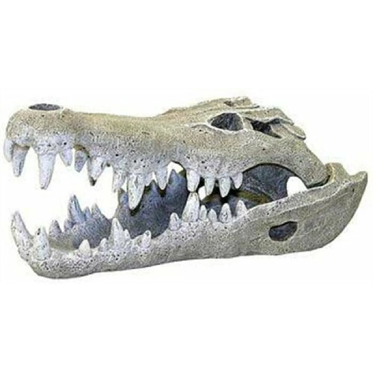 Eurovideo Vg Rosewood Crâne Crocodile Aquarium