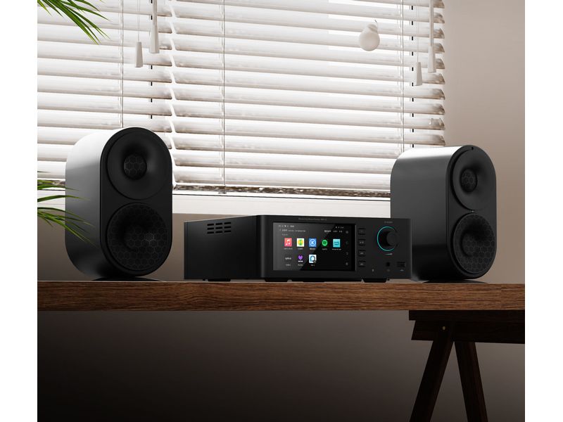 Shanling SM1.3 HiFi-Streamer Schwarz High-Fidelity-Audio-Streamer