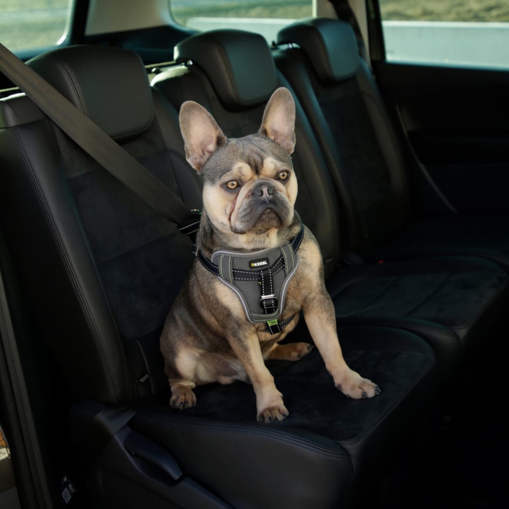 Arnês para carro para animais de estimação