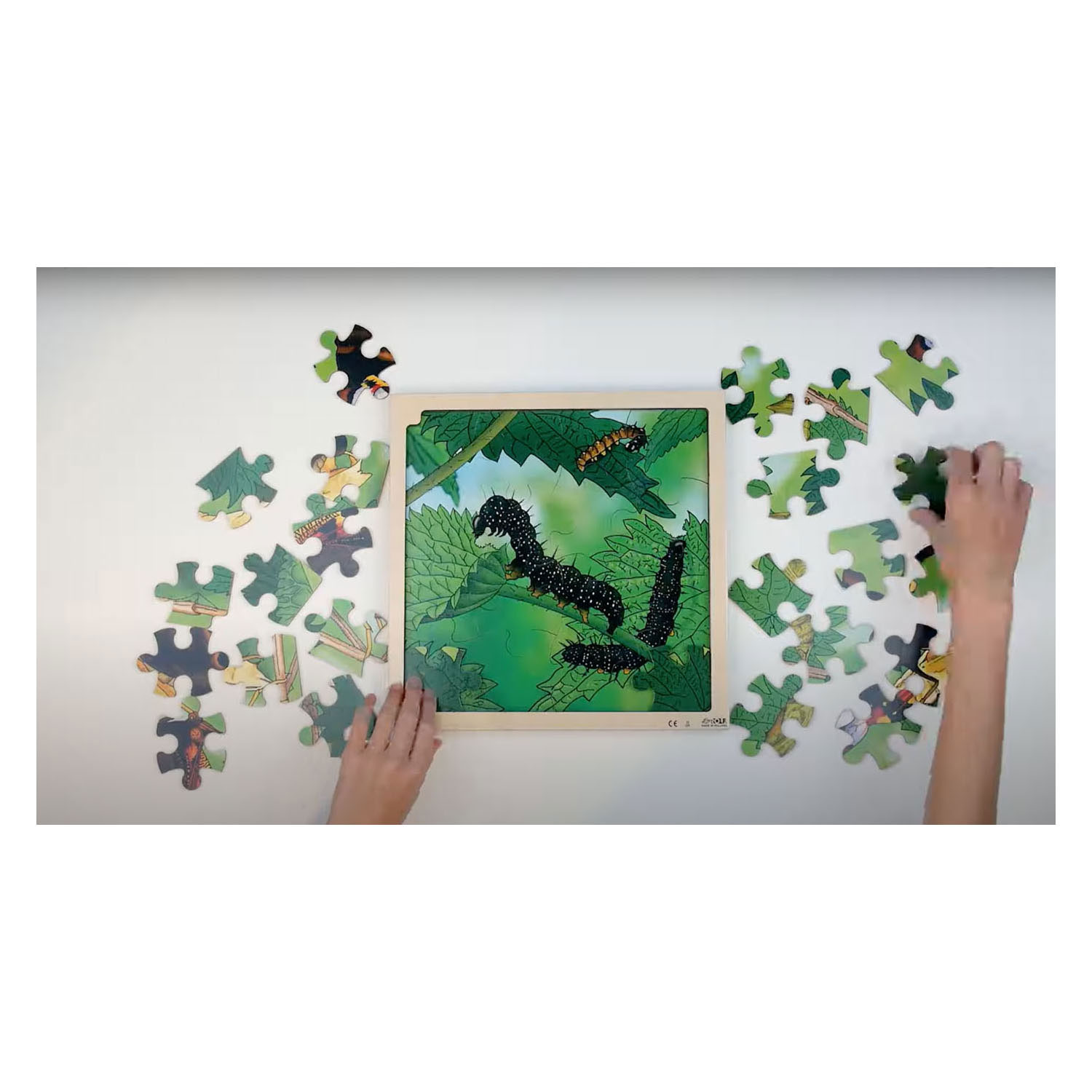 Rolf Connect - Groei en 4 Lagenpuzzel Hout Vlinder, 86st.
