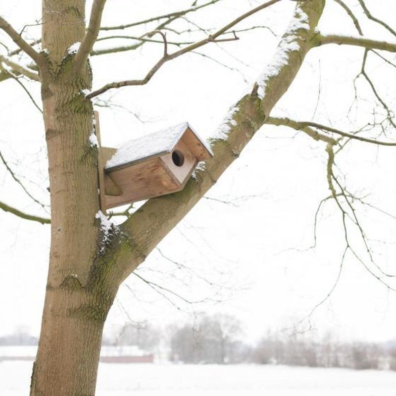 Esschert Design Steenuil - Vogelhuisje