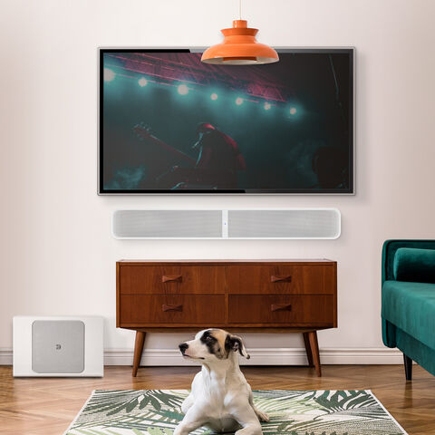 Koop Bluesound PULSE SOUNDBAR  Soundbar | 5 Jaar Garantie Wit
