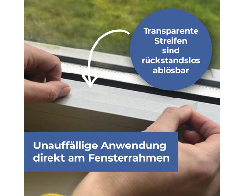 Vliegenlokstof, vliegenvanger, vliegenval, Protect Home raamstrips, 12 stuks.