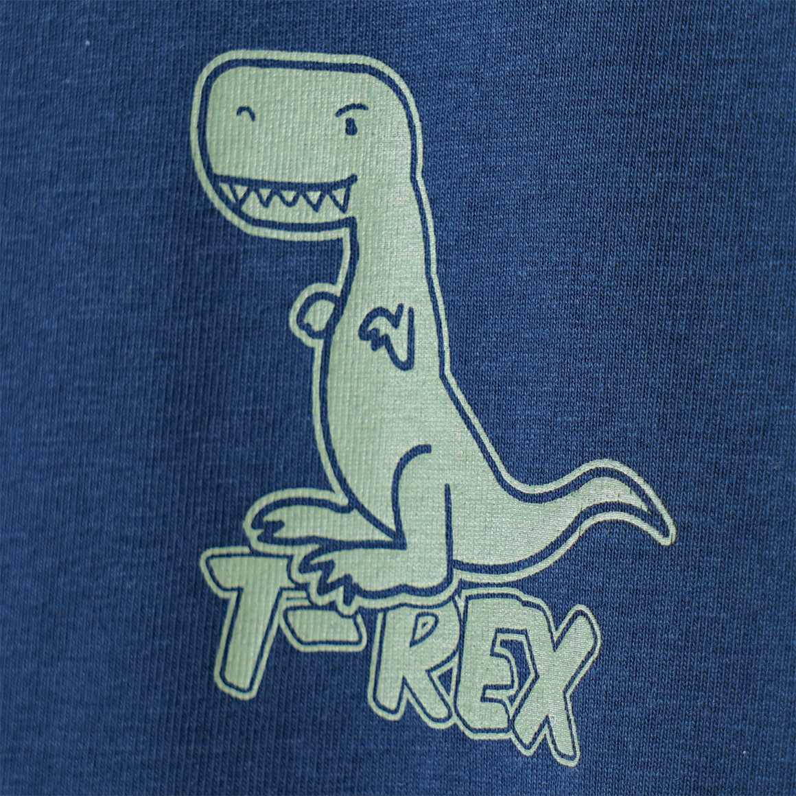 Famy 3 Jungen T-Shirts mit Dino-Prints salbei / hellgrün / blau