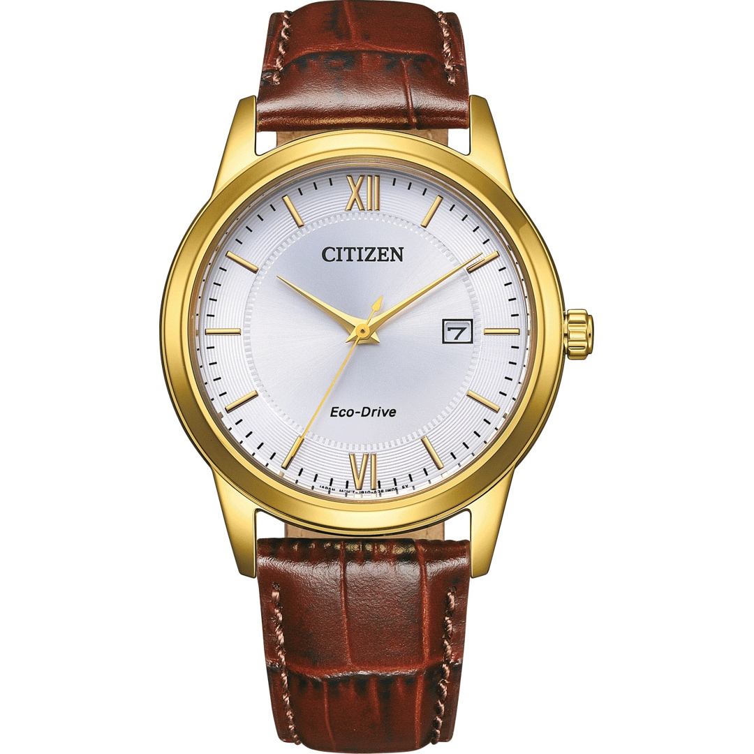 Citizen Elegant Eco-Drive Date 40mm